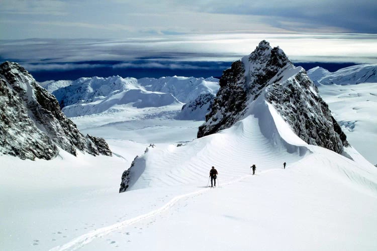 Upper Fox Glacier Westland NP New Zealand