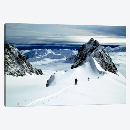 Upper Fox Glacier Westland NP New Zealand Canvas Print #PIM1298} by Panoramic Images Canvas Artwork