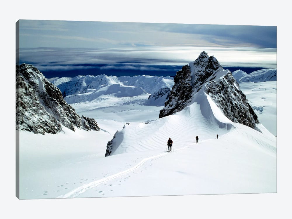 Upper Fox Glacier Westland NP New Zealand by Panoramic Images 1-piece Canvas Wall Art