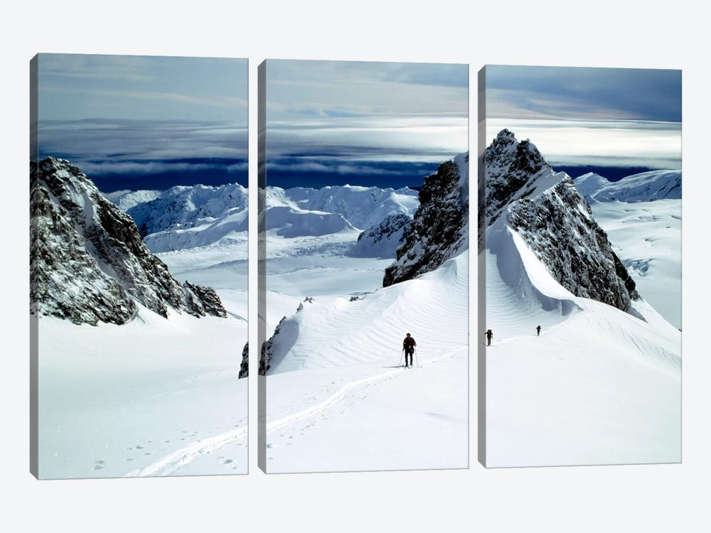 Upper Fox Glacier Westland NP New Zealand by Panoramic Images 3-piece Canvas Artwork