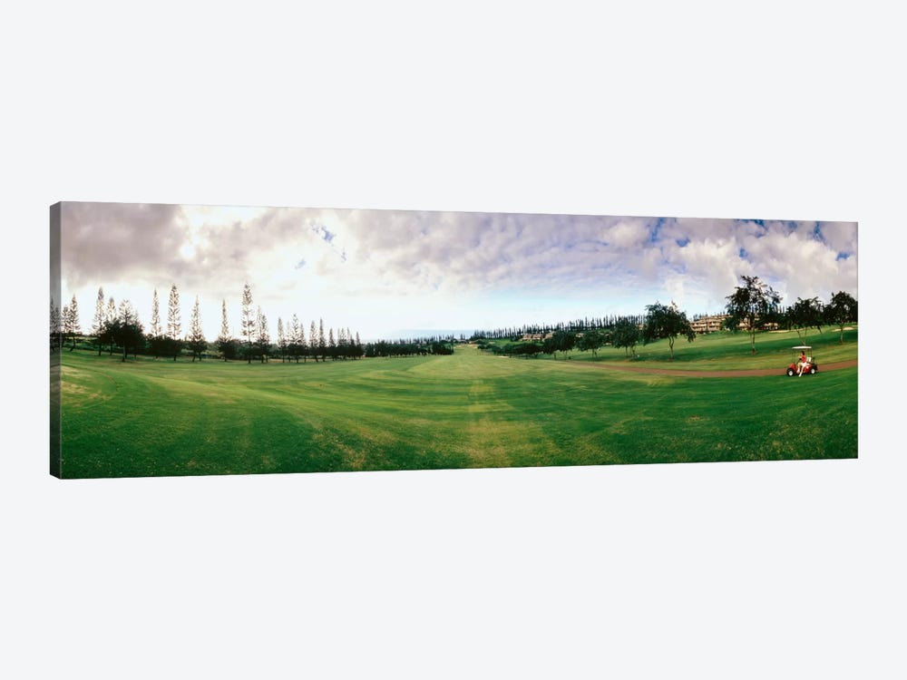 Golf Course Maui HI USA by Panoramic Images 1-piece Art Print