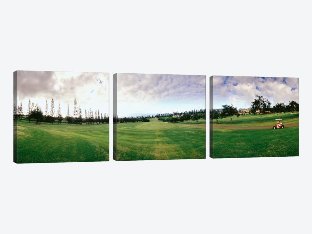 Golf Course Maui HI USA by Panoramic Images 3-piece Canvas Print