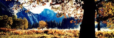 Half DomeYosemite National Park, California, USA by Panoramic Images framed canvas print
