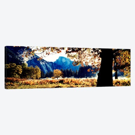 Half DomeYosemite National Park, California, USA Canvas Print #PIM1303} by Panoramic Images Canvas Art