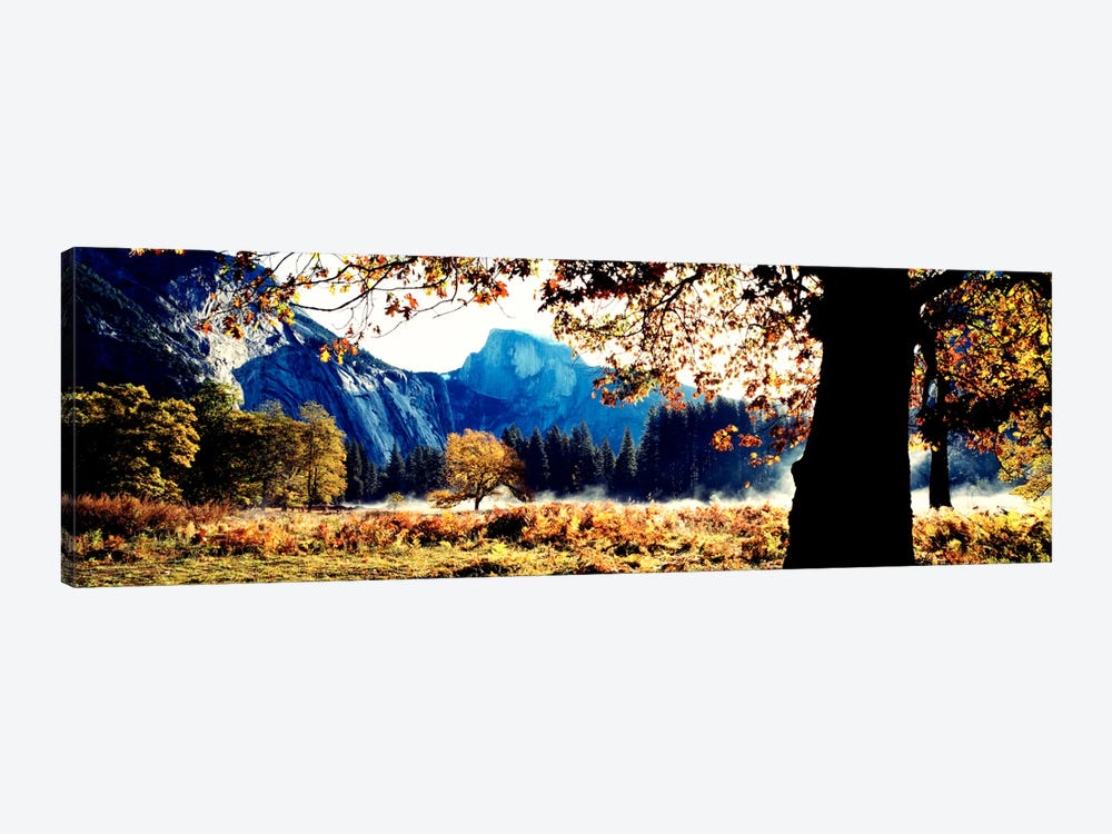 Half DomeYosemite National Park, California, USA by Panoramic Images 1-piece Canvas Art Print