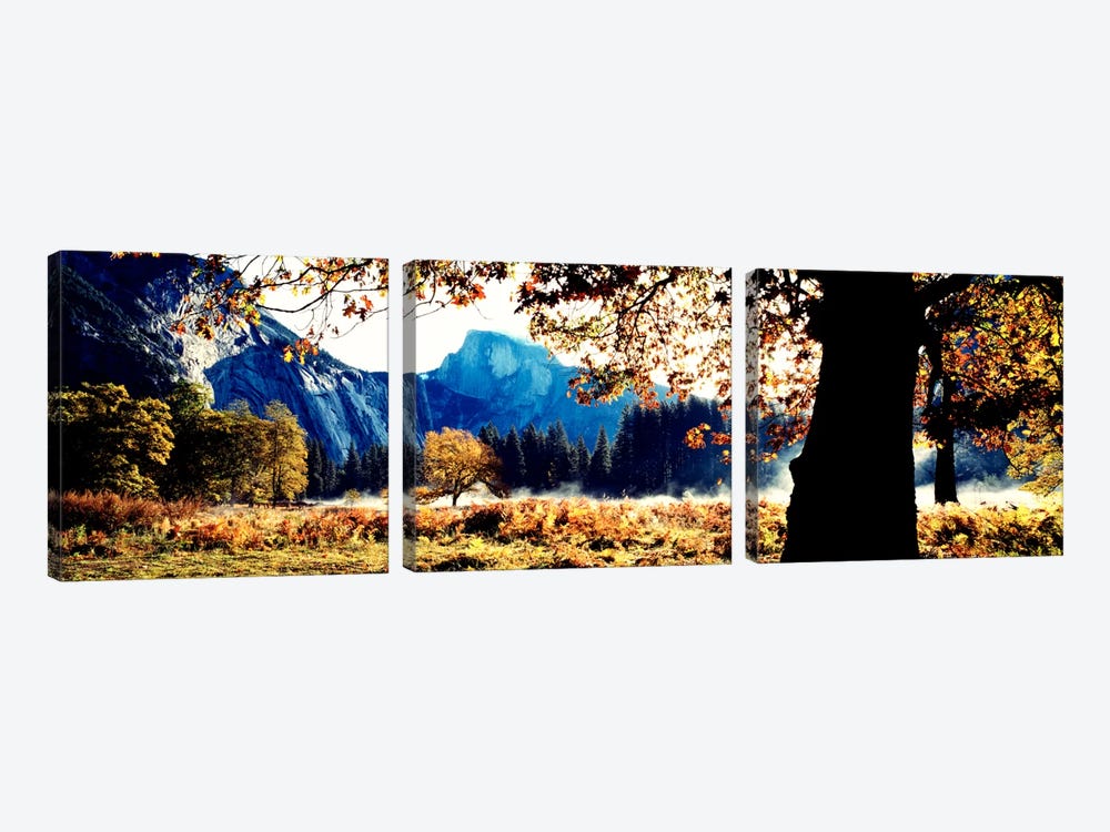 Half DomeYosemite National Park, California, USA by Panoramic Images 3-piece Canvas Print