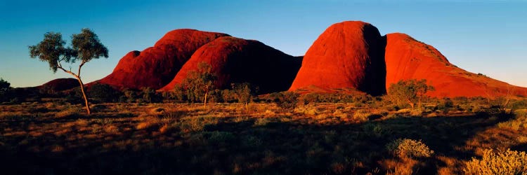 The Olgas N Territory Australia by Panoramic Images wall art