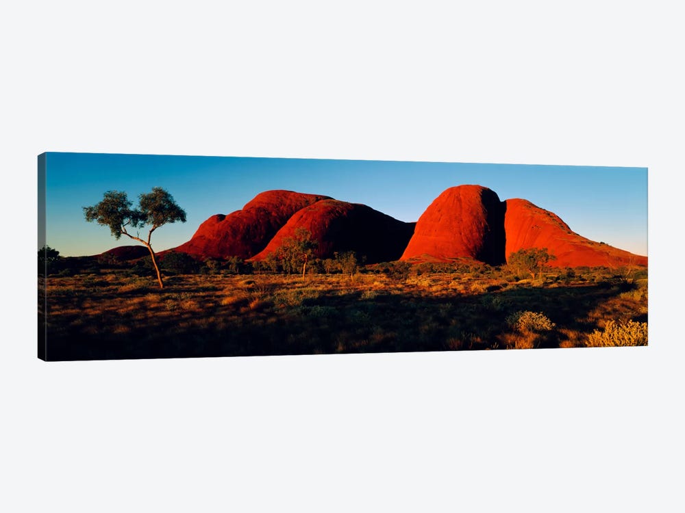 The Olgas N Territory Australia by Panoramic Images 1-piece Art Print