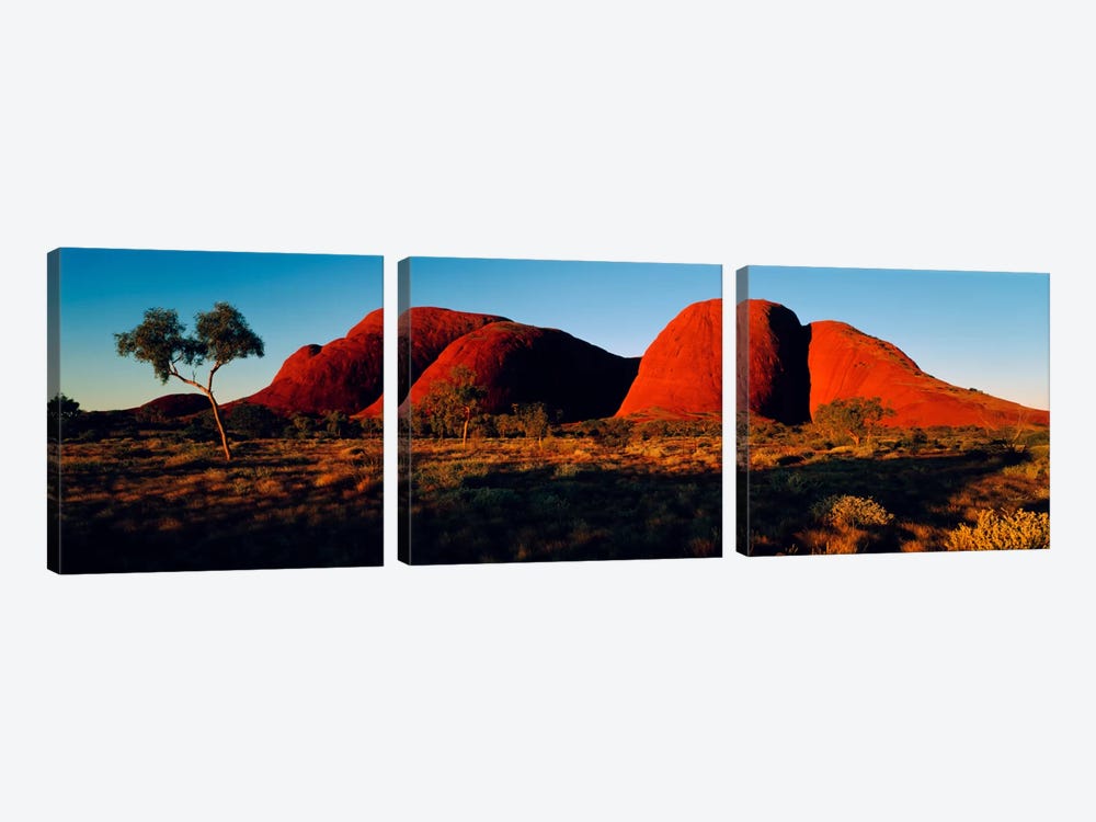 The Olgas N Territory Australia by Panoramic Images 3-piece Art Print