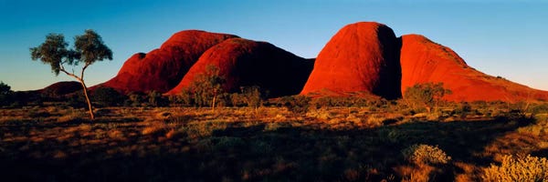 Northern Territory: The Olgas N Territory Australia by Panoramic Images