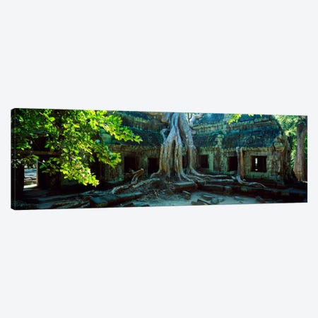 Wat Temple Complex of Ta-Prohm Cambodia Canvas Print #PIM1313} by Panoramic Images Canvas Art Print