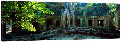 Wat Temple Complex of Ta-Prohm Cambodia Canvas Art Print - Cambodia Art