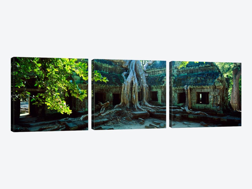 Wat Temple Complex of Ta-Prohm Cambodia by Panoramic Images 3-piece Canvas Artwork