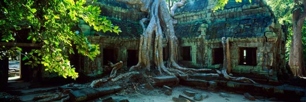Ancient Ruins: Wat Temple Complex of Ta-Prohm Cambodia by Panoramic Images