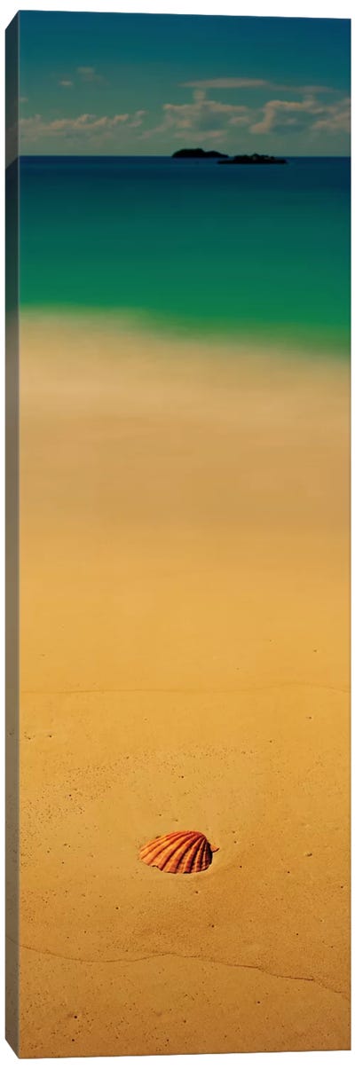 Sea Shell On The Beach, Cat Island, Bahamas Canvas Art Print - Bahamas