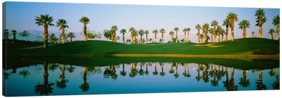 Golf Course MarriotÕs Palms AZ USA Canvas Art Print - Palm Tree Art