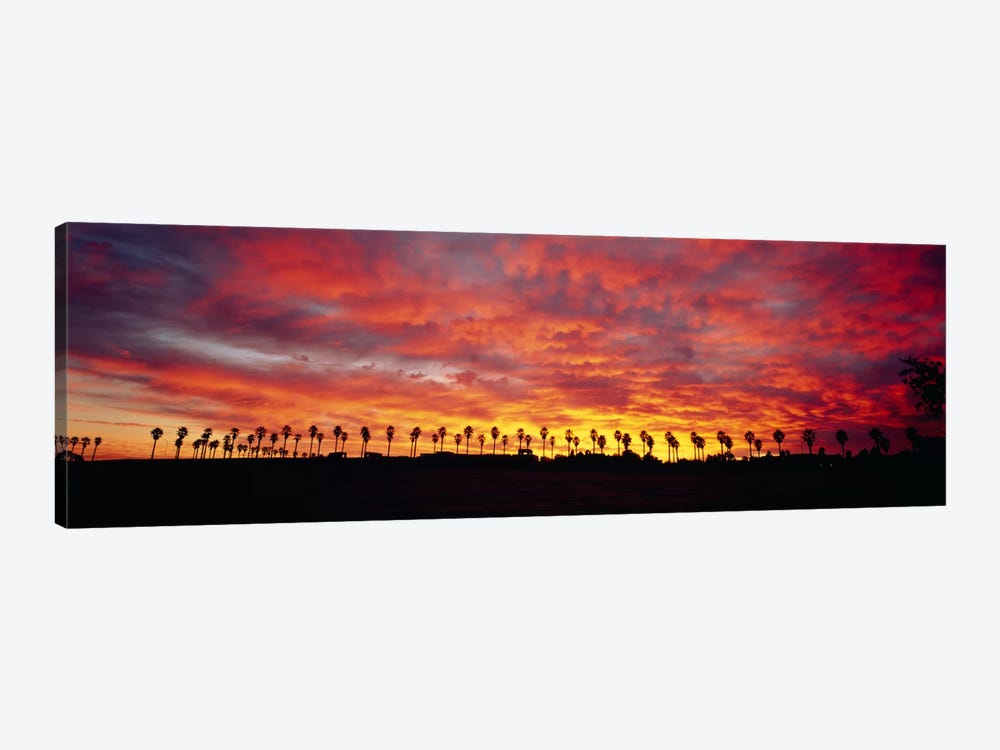 Silhouette of palm trees at sunrise, San Diego, San Diego County, California, USA by Panoramic Images 1-piece Art Print