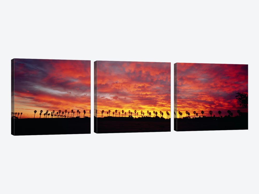 Silhouette of palm trees at sunrise, San Diego, San Diego County, California, USA by Panoramic Images 3-piece Art Print