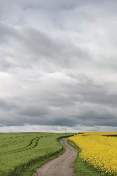 Rural Dirt Road II, Baden-Wurttemberg, Germany by Panoramic Images canvas print