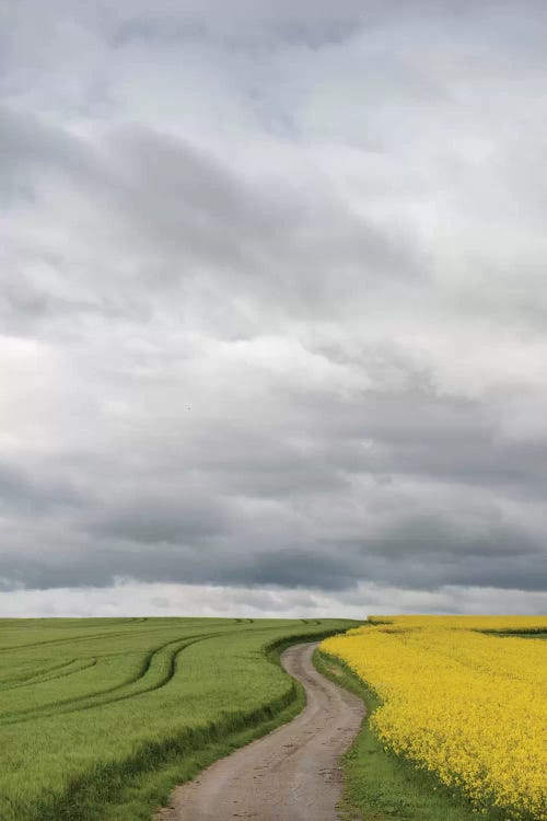 Rural Dirt Road II, Baden-Wurttemberg, Germany