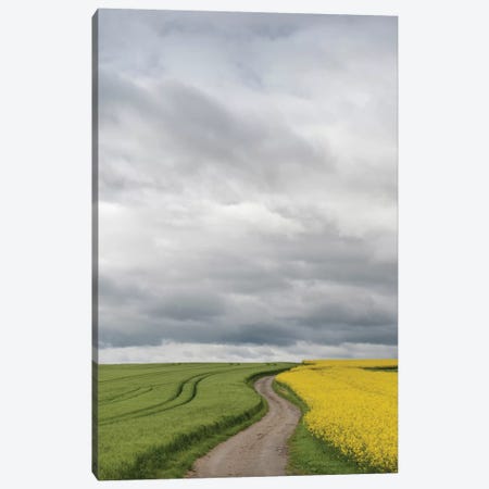 Rural Dirt Road II, Baden-Wurttemberg, Germany Canvas Print #PIM13195} by Panoramic Images Canvas Print