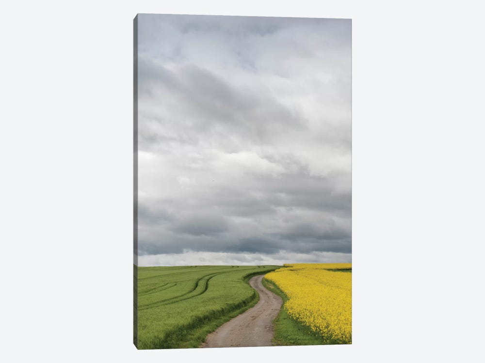 Rural Dirt Road II, Baden-Wurttemberg, Germany by Panoramic Images 1-piece Canvas Print