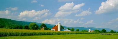 Cultivated field in front of a barn, Kishacoquillas Valley, Pennsylvania, USA by Panoramic Images framed canvas print