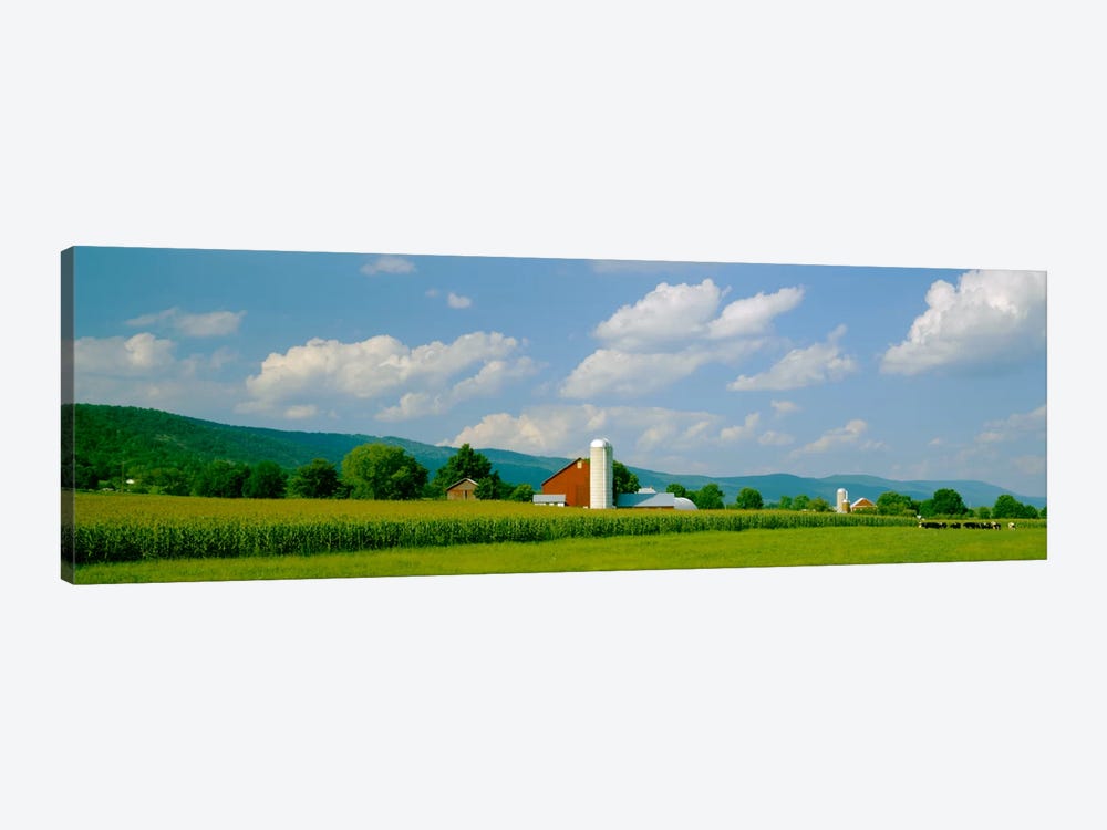 Cultivated field in front of a barn, Kishacoquillas Valley, Pennsylvania, USA by Panoramic Images 1-piece Canvas Art