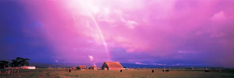 Rainbow Arcata CA USA by Panoramic Images wall art