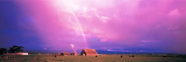 Rainbows: Rainbow Arcata CA USA by Panoramic Images