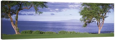 Makena Golf Course VI, Makena, Maui, Hawai'i, USA Canvas Art Print - Golf Art