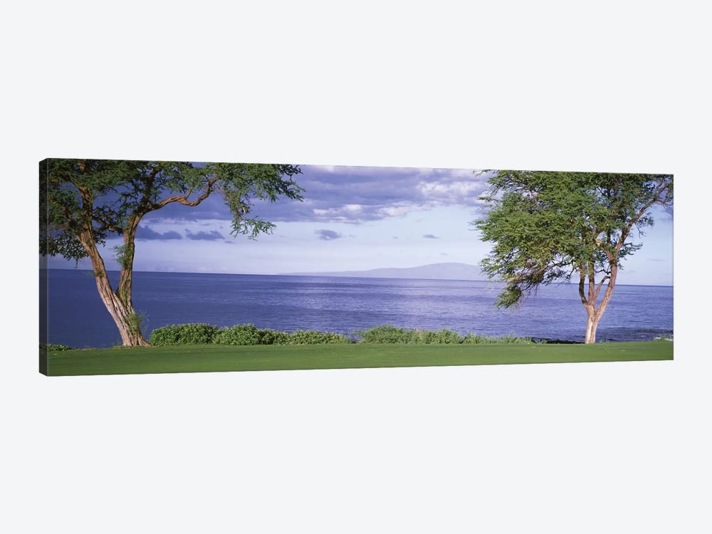 Makena Golf Course VI, Makena, Maui, Hawai'i, USA by Panoramic Images 1-piece Art Print