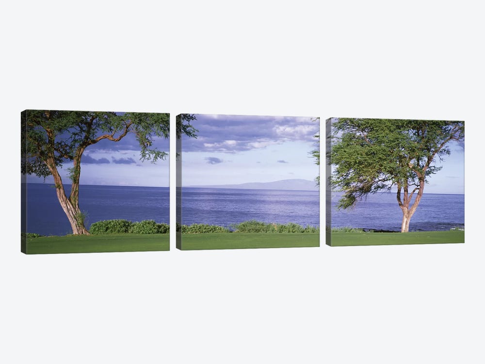 Makena Golf Course VI, Makena, Maui, Hawai'i, USA by Panoramic Images 3-piece Canvas Print