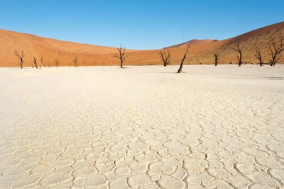 Desert Landscape III, Deadvlei, Namib Desert, Namib-Naukluft National Park, Namibia by Panoramic Images canvas print