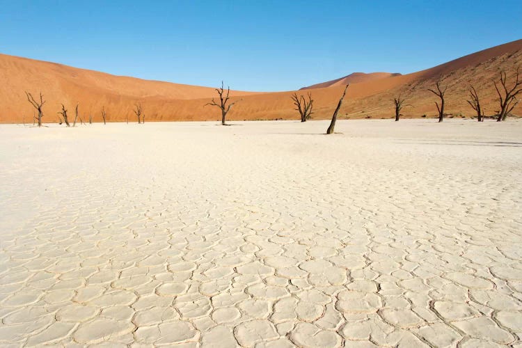 Desert Landscape III, Deadvlei, Namib Desert, Namib-Naukluft National Park, Namibia