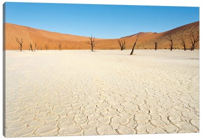 Desert Landscape III, Deadvlei, Namib Desert, Namib-Naukluft National Park, Namibia Canvas Art Print - Namibia