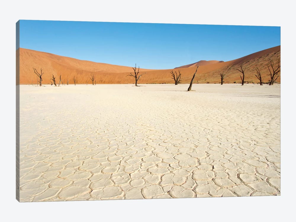 Desert Landscape III, Deadvlei, Namib Desert, Namib-Naukluft National Park, Namibia by Panoramic Images 1-piece Canvas Art Print