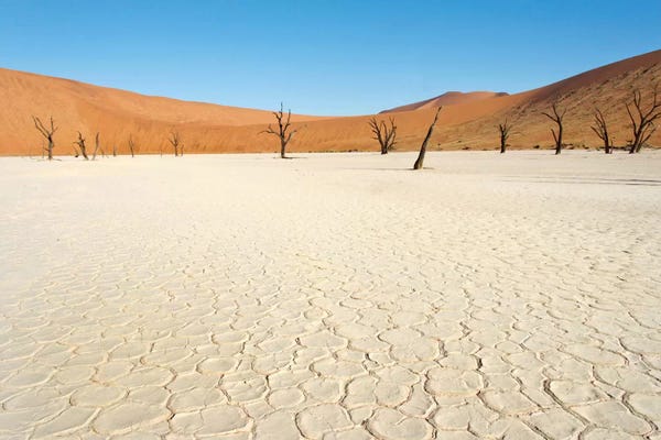 Namibia: Desert Landscape III, Deadvlei, Namib Desert, Namib-Naukluft National Park, Namibia by Panoramic Images