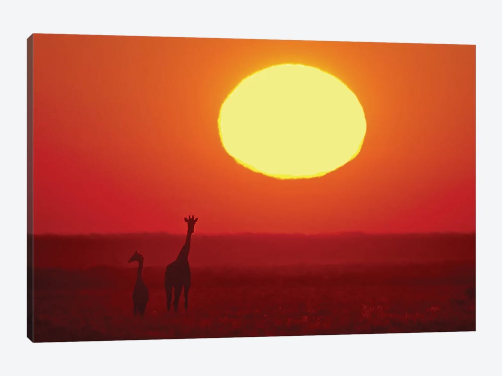 Southern Giraffes At Sunset I, Etosha National Park, Namibia by Panoramic Images 1-piece Canvas Wall Art