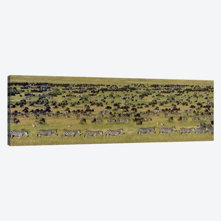 The Great Migration I, Serengeti National Park, Tanzania Canvas Print #PIM13931} by Panoramic Images Canvas Wall Art