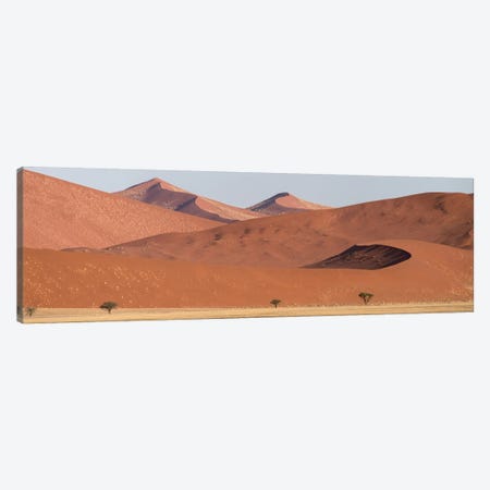 Desert Landscape XIX, Sossusvlei, Namib Desert, Namib-Naukluft National Park, Namibia Canvas Print #PIM13932} by Panoramic Images Canvas Wall Art