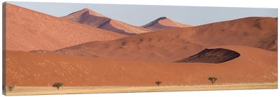Desert Landscape XIX, Sossusvlei, Namib Desert, Namib-Naukluft National Park, Namibia Canvas Art Print - Desert Art