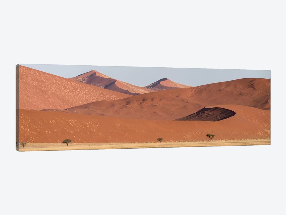 Desert Landscape XIX, Sossusvlei, Namib Desert, Namib-Naukluft National Park, Namibia by Panoramic Images 1-piece Canvas Art Print