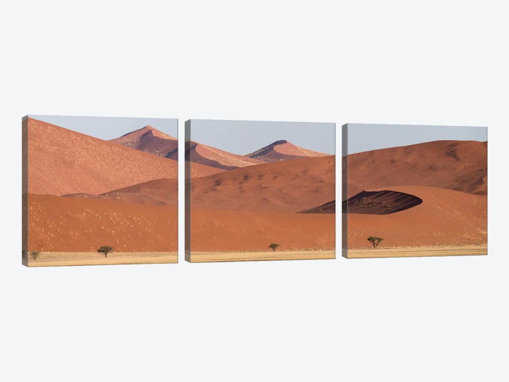 Desert Landscape XIX, Sossusvlei, Namib Desert, Namib-Naukluft National Park, Namibia by Panoramic Images 3-piece Canvas Print