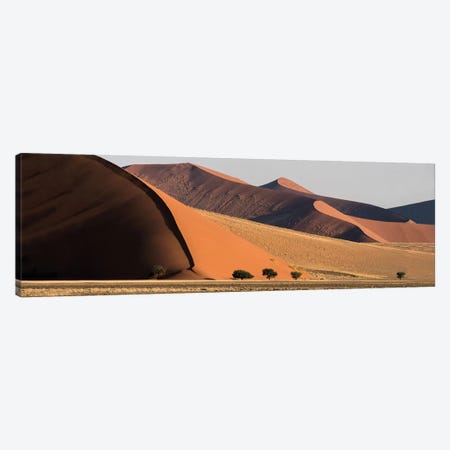 Desert Landscape XX, Sossusvlei, Namib Desert, Namib-Naukluft National Park, Namibia Canvas Print #PIM13933} by Panoramic Images Canvas Art