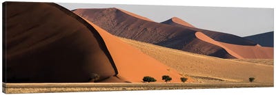 Desert Landscape XX, Sossusvlei, Namib Desert, Namib-Naukluft National Park, Namibia Canvas Art Print