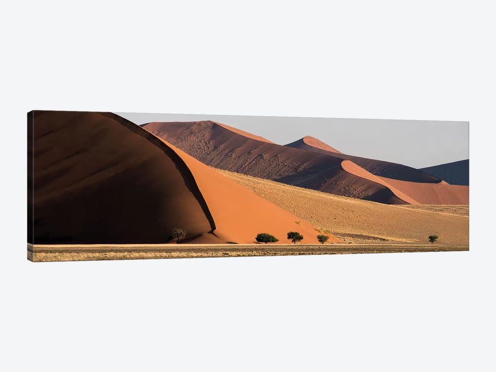 Desert Landscape XX, Sossusvlei, Namib Desert, Namib-Naukluft National Park, Namibia by Panoramic Images 1-piece Canvas Art