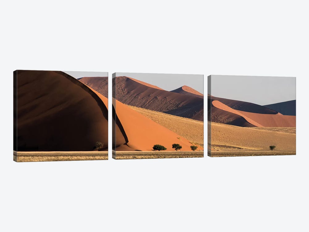 Desert Landscape XX, Sossusvlei, Namib Desert, Namib-Naukluft National Park, Namibia by Panoramic Images 3-piece Canvas Wall Art