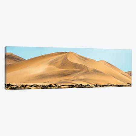 Desert Landscape, Walvis Bay, Namibia Canvas Print #PIM13938} by Panoramic Images Canvas Artwork