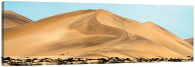 Desert Landscape, Walvis Bay, Namibia Canvas Art Print - Namibia